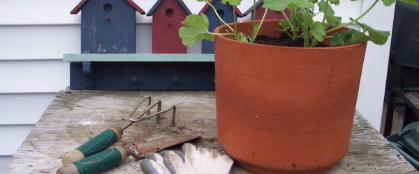 Praktische Gartenwerkzeuge im Überblick